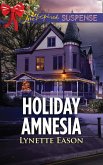 Holiday Amnesia (eBook, ePUB)