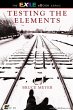 Testing the Elements (eBook, PDF) - Bild 1