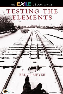 Testing the Elements (eBook, PDF) - Meyer, Bruce