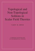 Topological and Non-Topological Solitons in Scalar Field Theories (eBook, PDF)