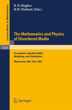 The Mathematics and Physics of Disordered Media (eBook, PDF)