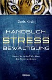 Handbuch Stressbewältigung (eBook, ePUB)