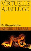 Virtuelle Ausflüge (eBook, ePUB)