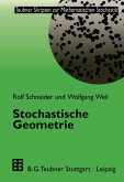 Stochastische Geometrie (eBook, PDF)