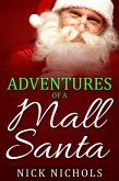 Adventures of a Mall Santa (eBook, ePUB)