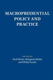 Macroprudential Policy and Practice (eBook, ePUB)