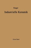 Industrielle Keramik (eBook, PDF)