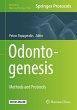 Odontogenesis - Bild 1