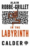 In the Labyrinth (eBook, ePUB)