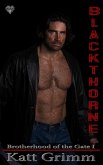 Blackthorne (eBook, ePUB) Blackthorne (eBook, ePUB)