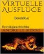 Virtuelle Ausflüge (eBook, ePUB) - Bild 1