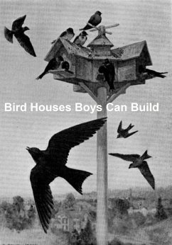 Cover Bird Houses Boys Can Build (eBook, ePUB)