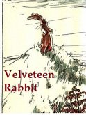 Velveteen Rabbit (eBook, ePUB)