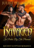 Ravaged In Public By The Pharaoh (eBook, ePUB)