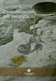 Contaminación por mercurio en Bogotá y su conurbano (eBook, ePUB) Contaminación por mercurio en Bogotá y su conurbano (eBook, ePUB)