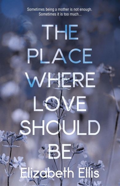 Place Where Love Should Be (eBook, ePUB)