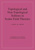 Topological and Non-Topological Solitons in Scalar Field Theories (eBook, ePUB)