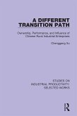 A Different Transition Path (eBook, PDF)