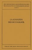 Der Ricci-Kalkül (eBook, PDF)