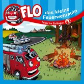 03: Feuer im Zeltlager (MP3-Download)