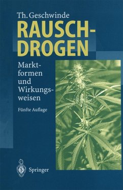 Rauschdrogen (eBook, PDF) - Geschwinde, Thomas