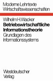 Betriebswirtschaftliche Informationstheorie (eBook, PDF)