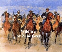 Cover Wildfire (eBook, ePUB)