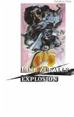 Eine Zufallsexplosion (eBook, ePUB) Eine Zufallsexplosion (eBook, ePUB)