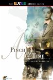 Pinch of Time (eBook, PDF) Pinch of Time (eBook, PDF)