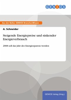 Steigende Energiepreise und sinkender Energieverbrauch (eBook, ePUB) - Schneider, A.