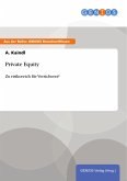 Private Equity (eBook, ePUB)