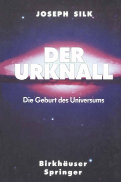 Der Urknall (eBook, PDF) - Silk, Joe