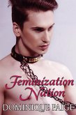 Feminization Nation (eBook, ePUB) Feminization Nation (eBook, ePUB)