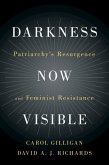 Darkness Now Visible (eBook, ePUB)