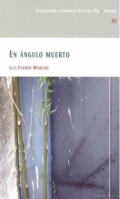 Cover En ángulo muerto