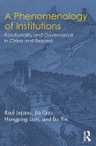 A Phenomenology of Institutions (eBook, ePUB)
