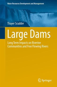 Large Dams (eBook, PDF) - Scudder, Thayer