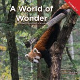 A World of Wonder: A Child's Interactive Book of Wonder