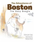 The Adventures of Boston