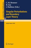 Singular Perturbations and Boundary Layer Theory (eBook, PDF)