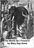 The World As I Have Found It (eBook, ePUB)