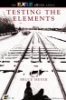 Testing the Elements (eBook, ePUB) - Bild 1