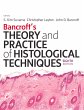 Bancroft's Theory and Practice of... - Bild 1