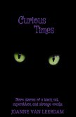 Curious Times (Curious Things, #2) (eBook, ePUB)