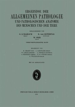 Ergebnisse der allgemeinen Pathologie und pathologischen Anatomie (eBook, PDF) - Chiari, H.; Loeffler, L.; Loele, W.; Posselt, Adolf; Seifried, Oskar; Stefko, W. H.; Wallbach, G.