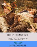 The White Monkey (eBook, ePUB)