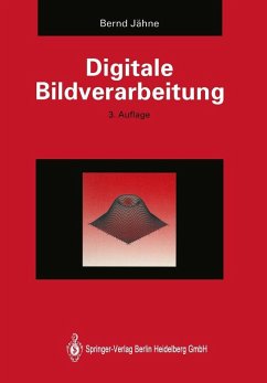 Digitale Bildverarbeitung (eBook, PDF) - Jähne, Bernd