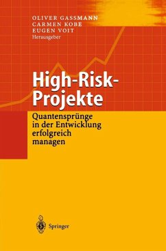High-Risk-Projekte (eBook, PDF)