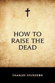 How to Raise the Dead (eBook, ePUB)