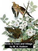 Birds in Town and Village (eBook, ePUB)